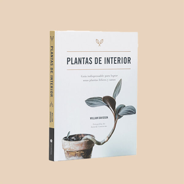 plantas interior