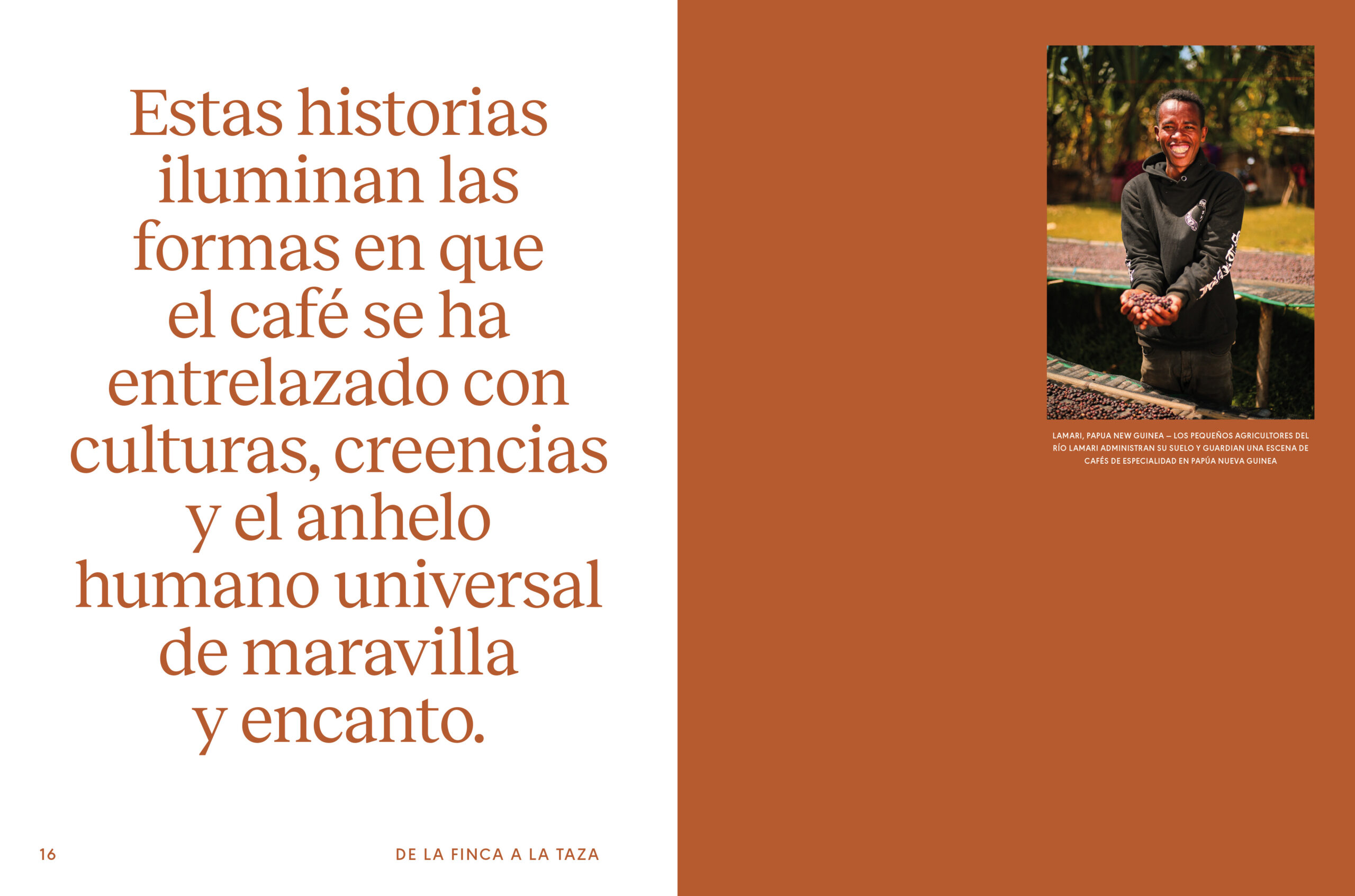 De la finca a la taza. Descubre el viaje del café de especialidad - Yassir Raïs - Imagen 3