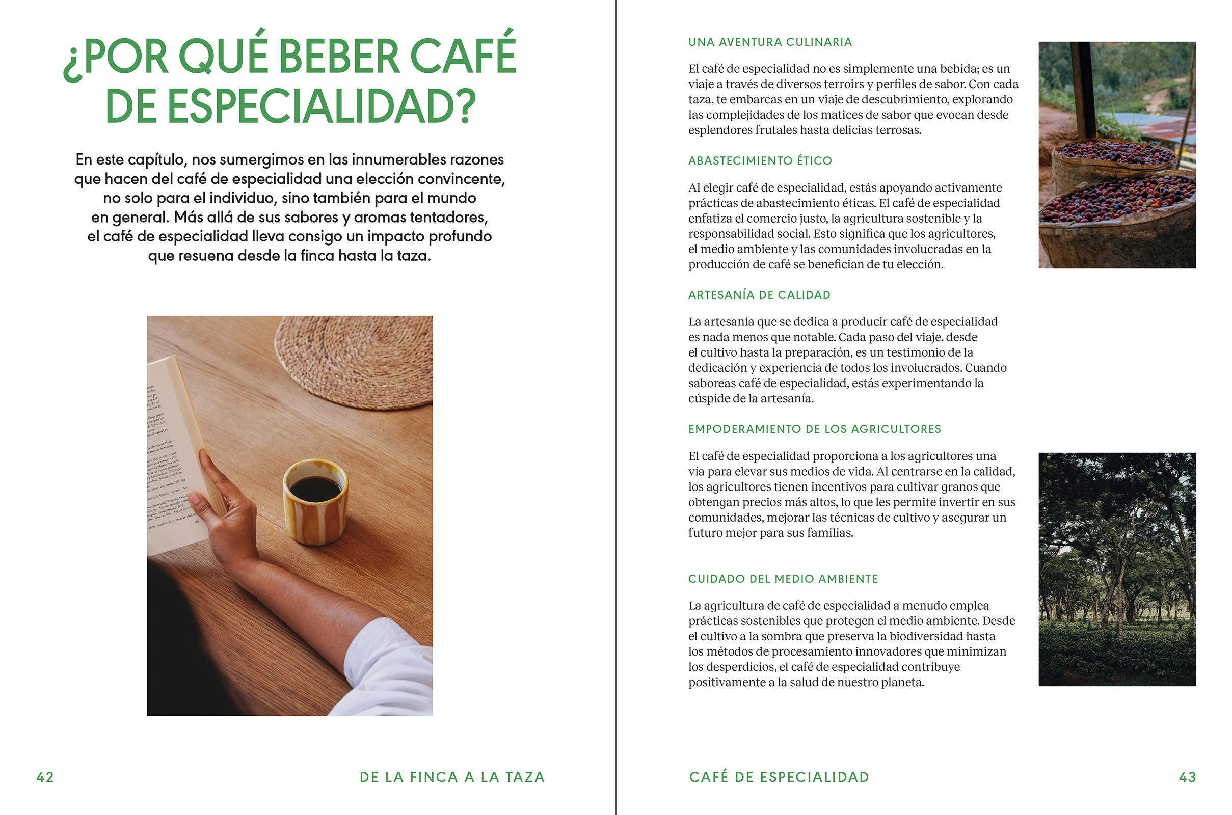 De la finca a la taza. Descubre el viaje del café de especialidad - Yassir Raïs - Imagen 2