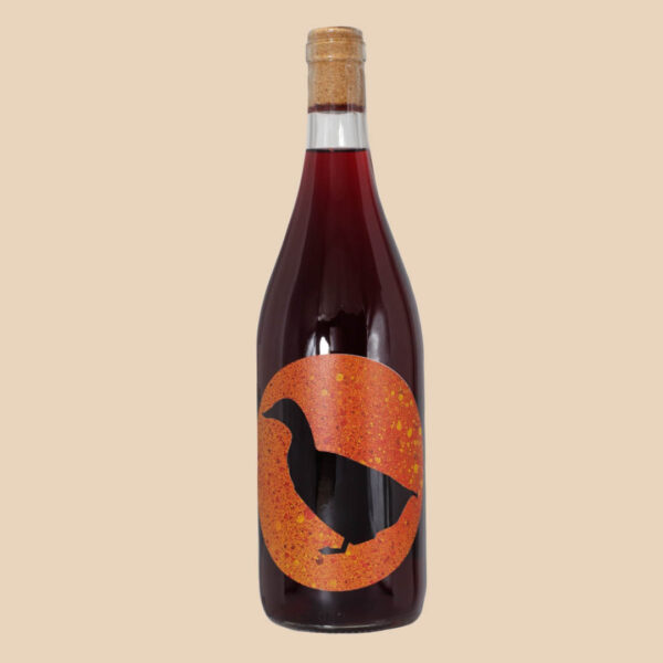 Nerd Duck - Joao Pato